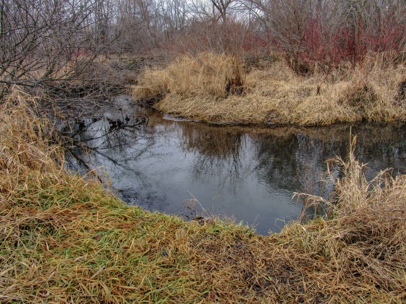 Vermillion River Trout Stream 