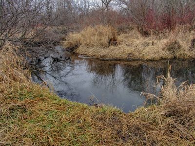 Vermillion River Trout Stream