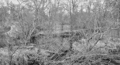 Vermillion River Trout Stream
