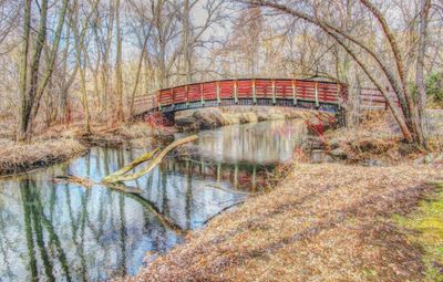 Vermillion River Trout Stream