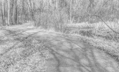 Vermillion River Trout Stream