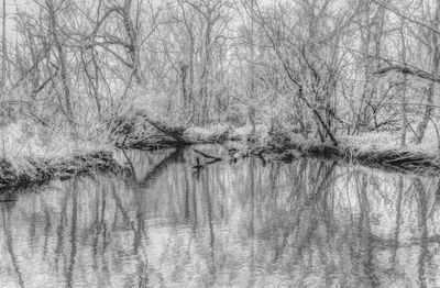Vermillion River Trout Stream 