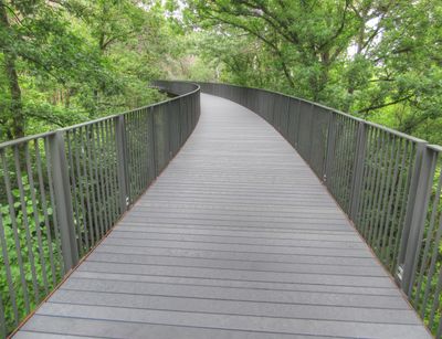 The Treetop Trail
