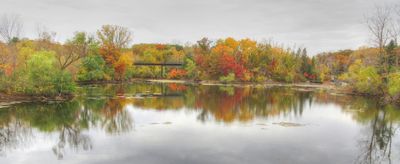 The Treetop Trail