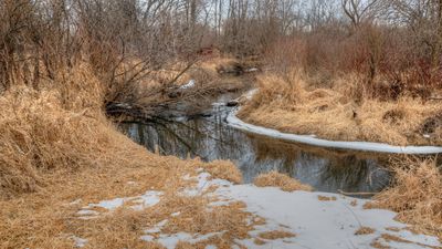 Rambling River Park