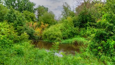 Rambling River Park