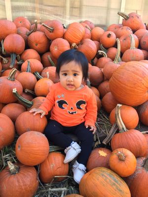 IMG_1797.jpeg