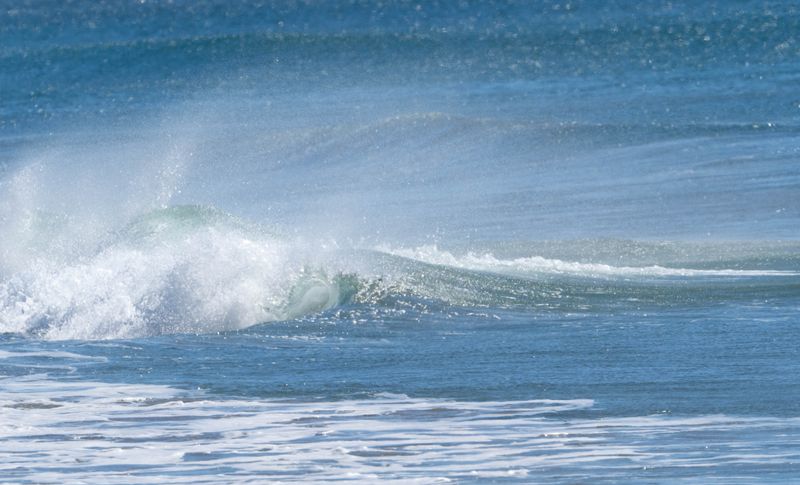 Ormond beach wave