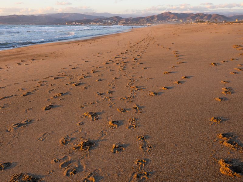 sand footprints