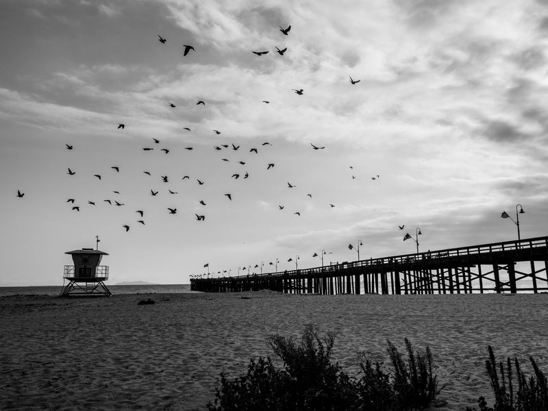 Pier scene