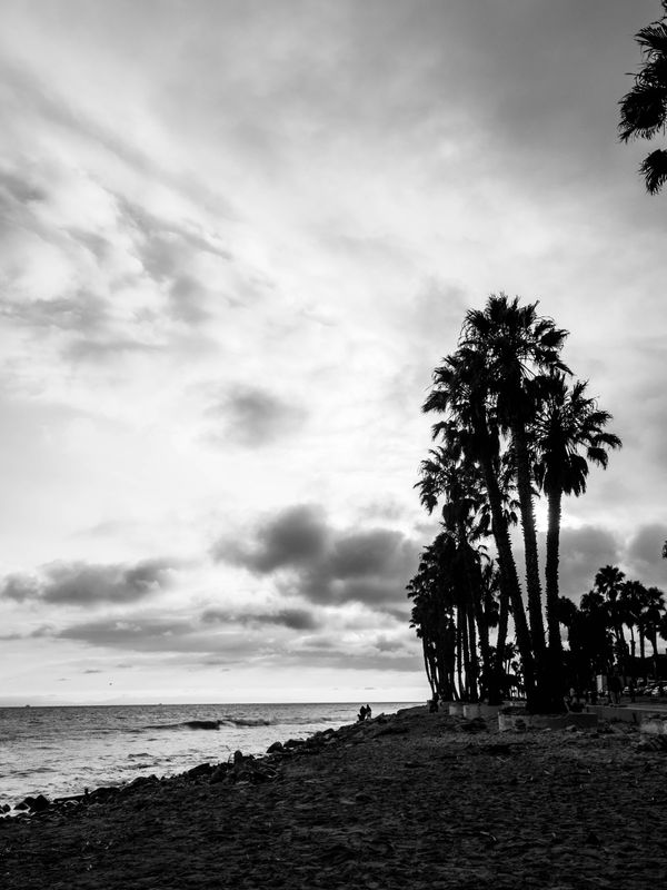 shoreline