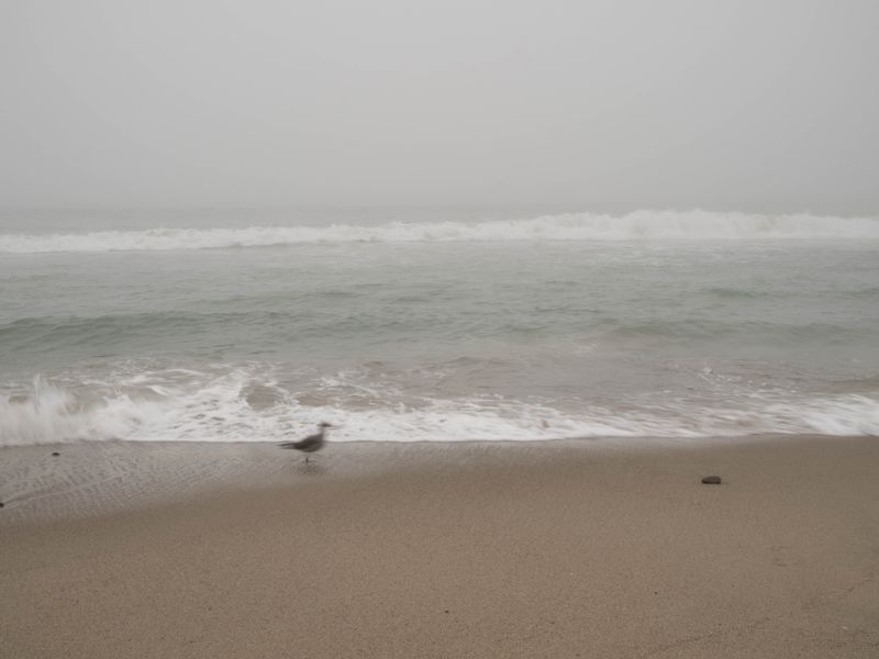 g13/13/80113/2/175035772.db56d981.JPEG
