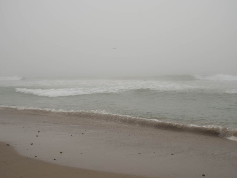 g13/13/80113/2/175035774.484a3742.JPEG