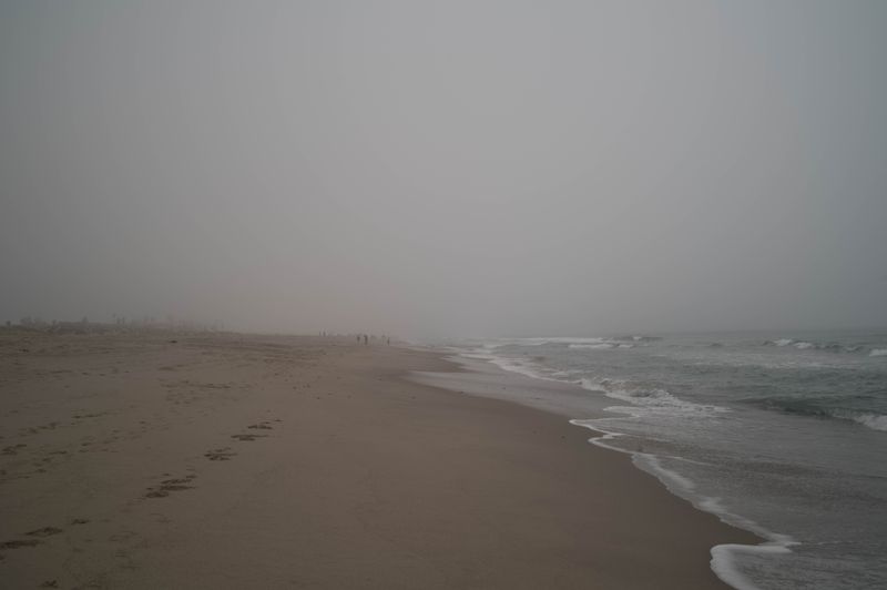 g13/13/80113/2/175035775.62ea9bc9.JPEG