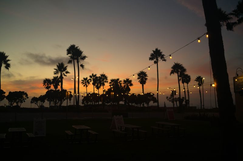 Dusk lights