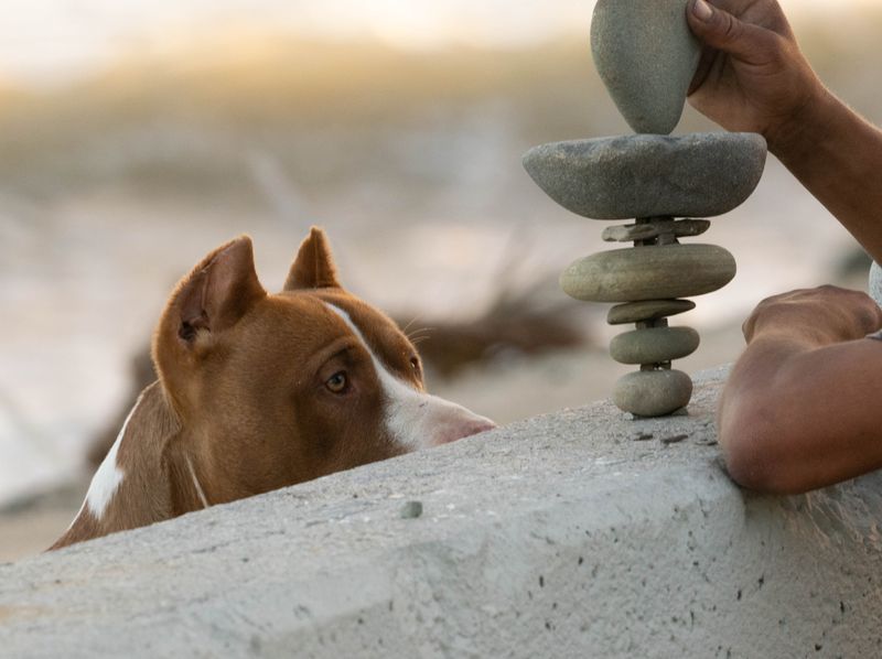 Curiosity