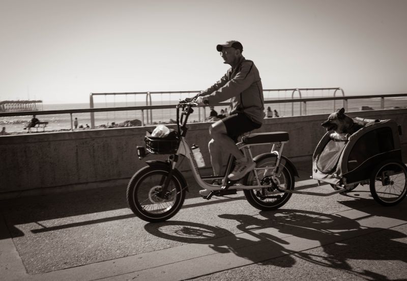 beach cruising