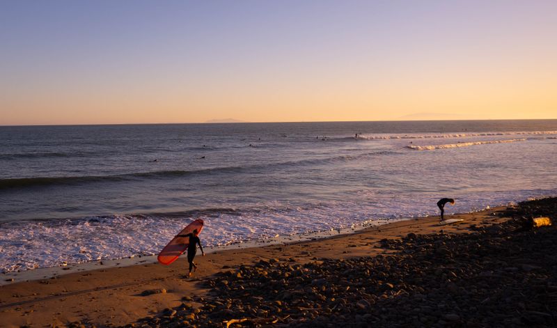 Surfing Life