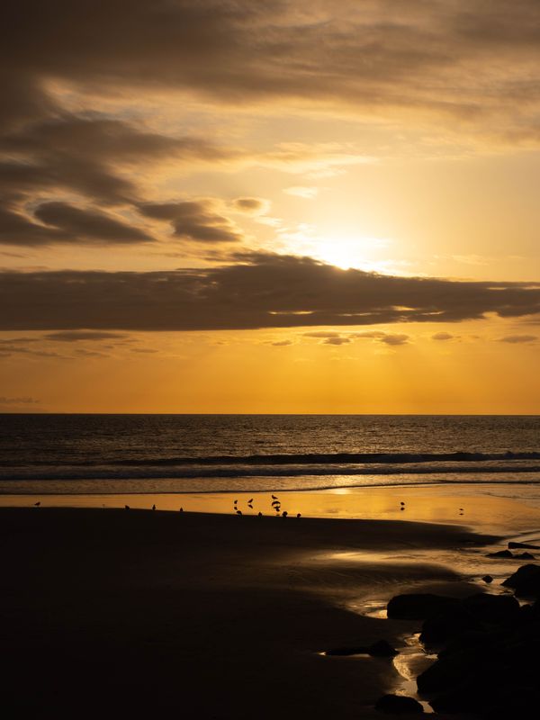 Cali sunset