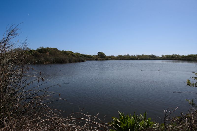 Spring pond