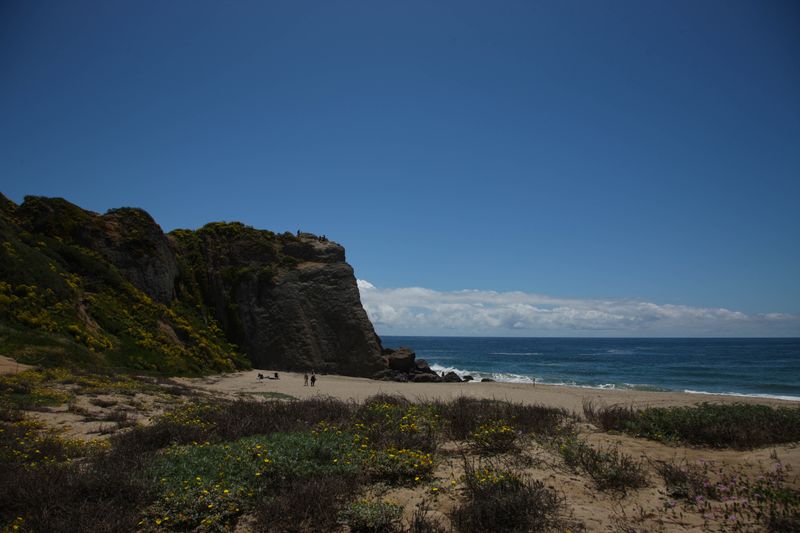 ocean vies