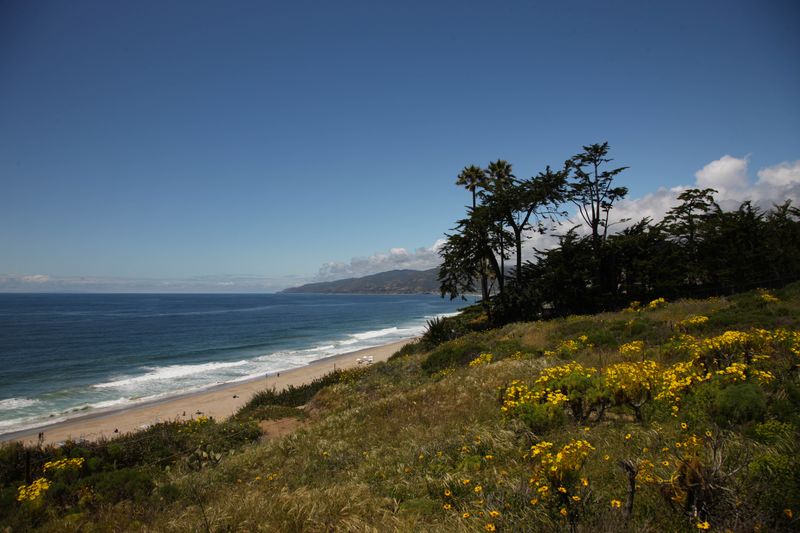Point Dume Nature Preserve
