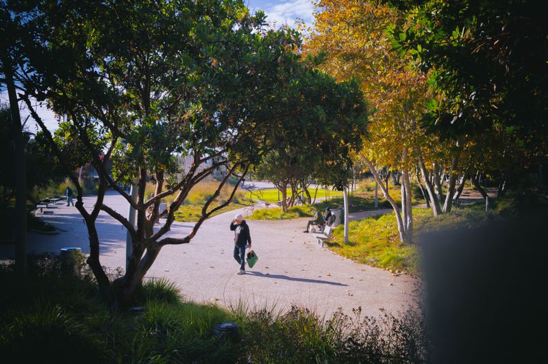 strolling in the park