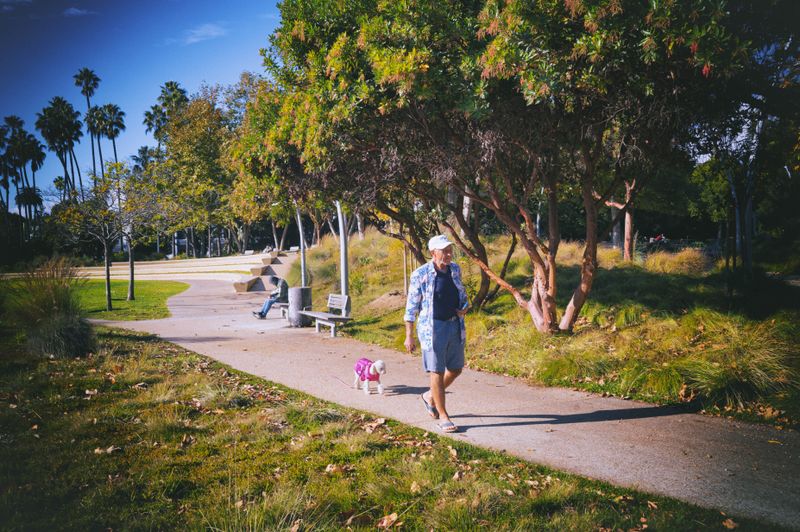 strolling in the park