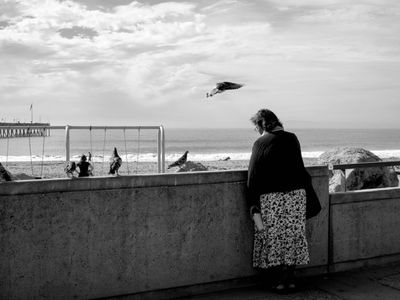 scene by the shores