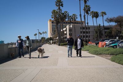 easy stroll
