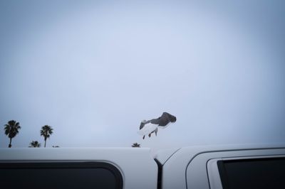 the landing