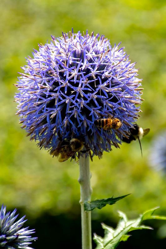 D5H_0771.jpg