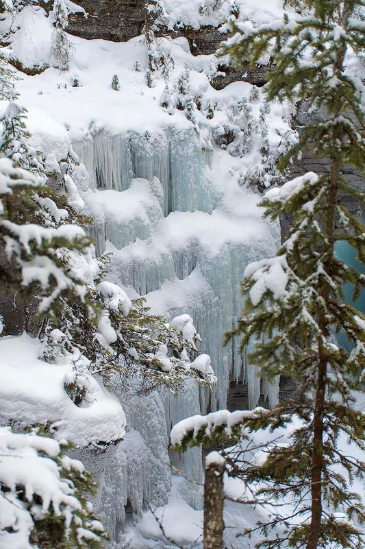 Jasper Icewalk