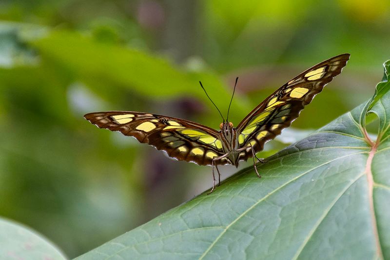 D5C_0612.jpg