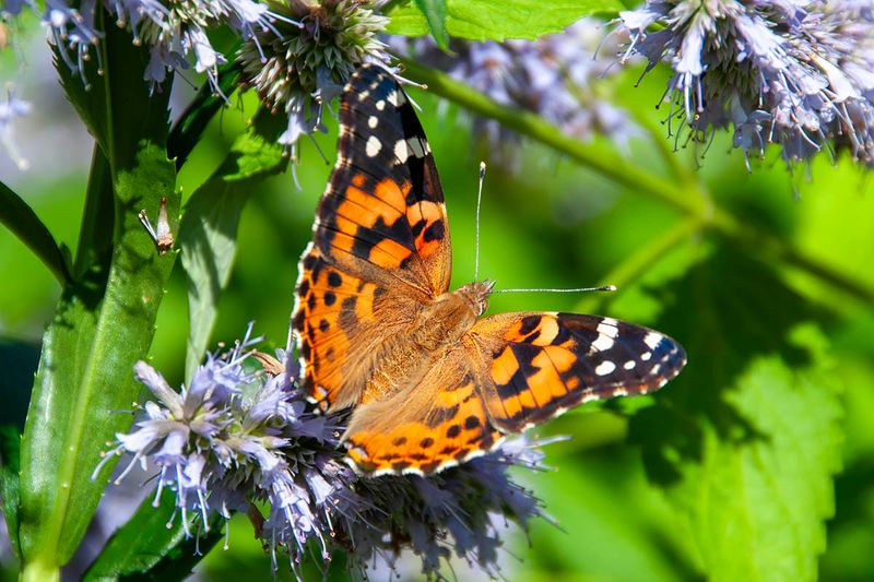 D3D_0833.jpg