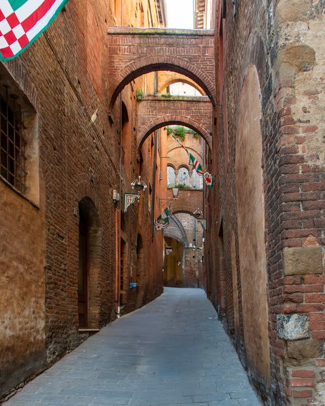 D5I_0238.jpg