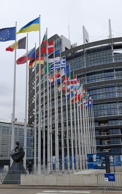 The European Parliament