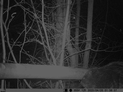 g13/13/816513/3/173564178.57a64ff5.JPEG