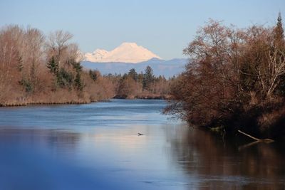 A Glimpse of Mt. Baker from the Snohomish