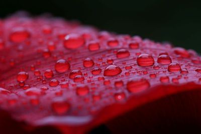 A Syllable of Water