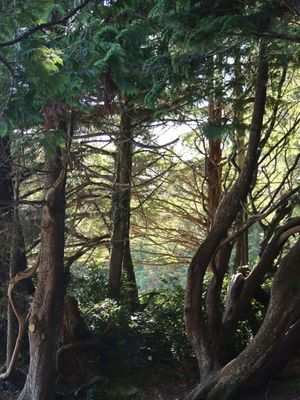Pacific Rim National Park