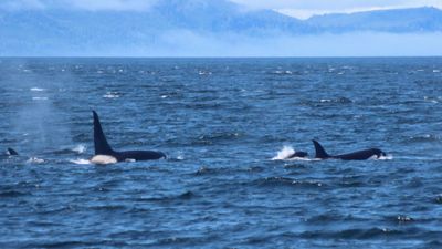 Pacific Rim National Park