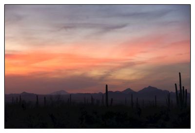 Sonoran Desert