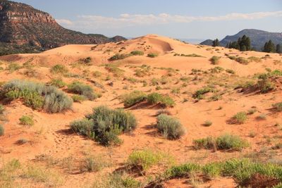 Wide Open Spaces