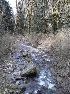 Fifteenmile Creek