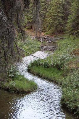 Denali National Park and Preserve