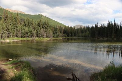 Denali National Park and Preserve
