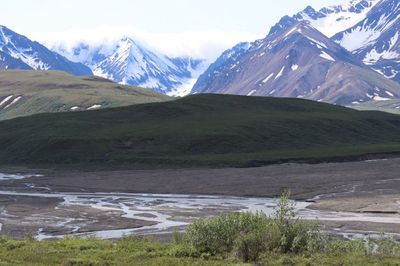 Denali National Park and Preserve