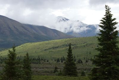 Denali National Park and Preserve