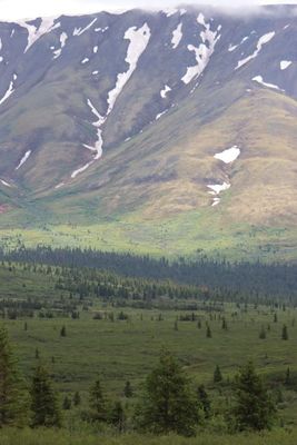 Denali National Park and Preserve